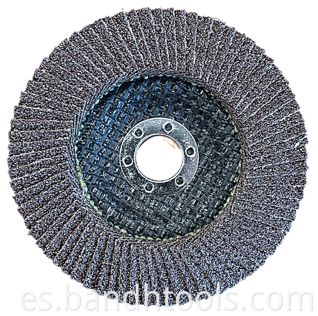 Flap Disc